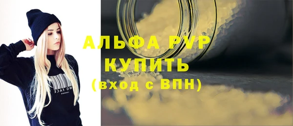 индика Алексин