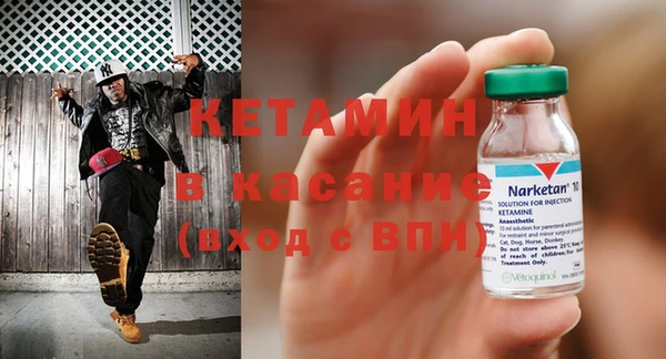 индика Алексин