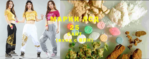 индика Алексин