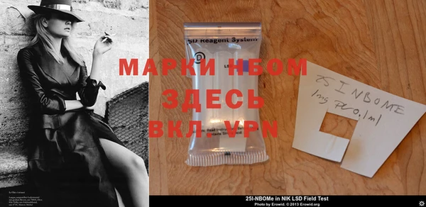 индика Алексин