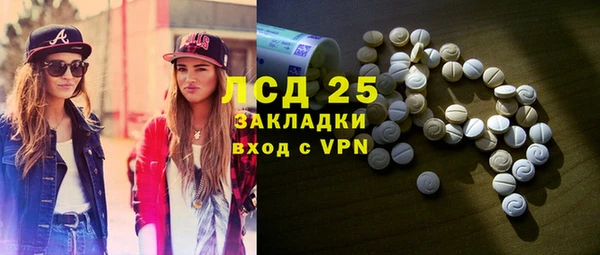 индика Алексин
